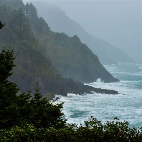 Rainy Day Hikes Eugene Cascades And Oregon Coast
