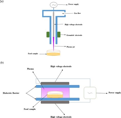 Schematic Diagram Of The Cold Plasma Generating Devices A