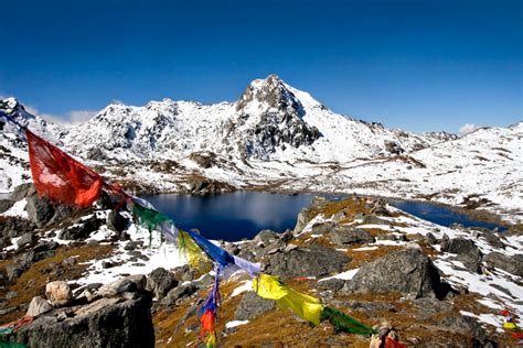 langtang trek through majestic valleys and himalayan peaks speedy tourism and travels nepal