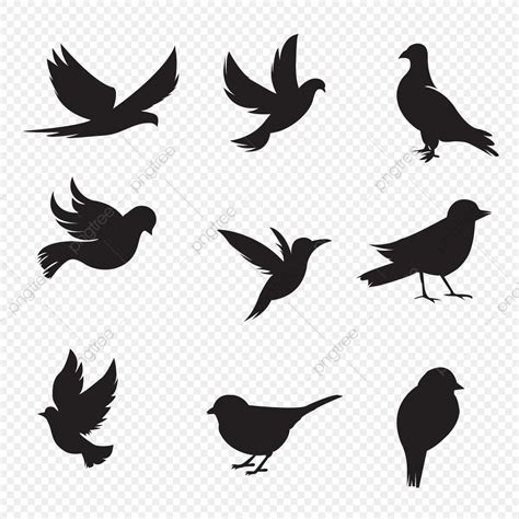 Download Bird Silhouette Collection, Silhouette, Bunny, Shadow PNG and Vector with Transparent Background ...