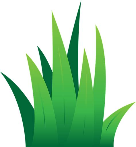 Safari Grass Clipart 10 Free Cliparts Download Images On Clipground 2024