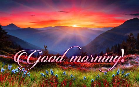 Beautiful Pictures Of Good Morning Wishes Big Collection