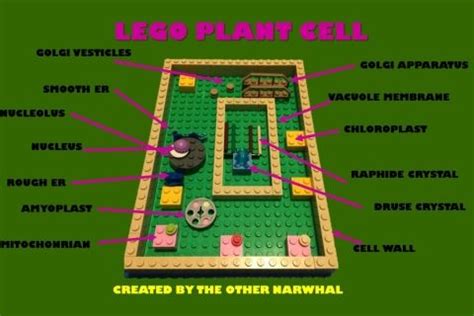 Lego learning can make any subject more fun and interesting. How to Make a 3d model cell - DIY | Plant cell project ...