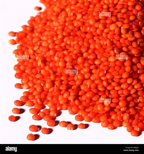 Uncooked Red Lentils Stock Photo Alamy