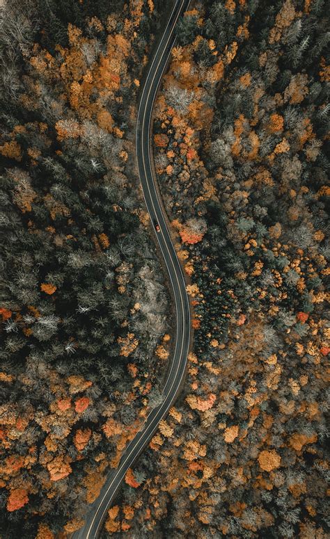 Forest Road Aerial View Winding Nature Hd Phone Wallpaper Peakpx