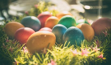 Outdoors Eggs Easter Eggs Colorful Wallpapers Hd Desktop And