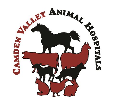 Owned and operated by mark deveau, vmd. Camden Valley Animal Hospitals - Narellan Supa Centre ...