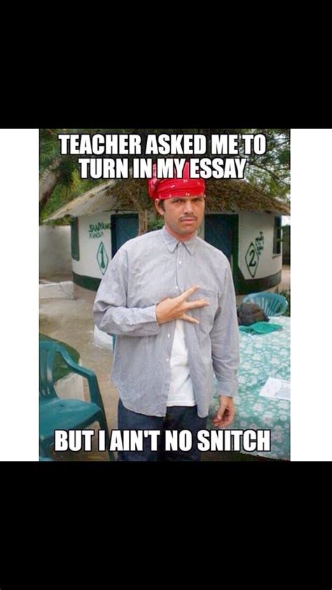 puns all around snitch funny pictures ecards funny