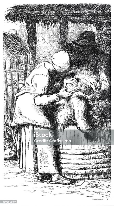 Woman Sheep Shearing Crayon Drawing From Millet Stock Illustration Download Image Now