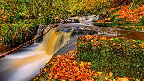 Water Stream On Green Algae Covered Rocks Between Colorful Autumn Trees