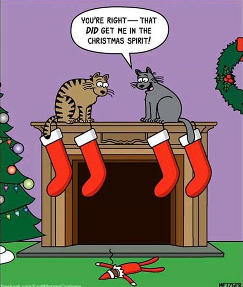 Pin By Ailsa Sublett On Christmasish Funny Cat Memes Cat Comics