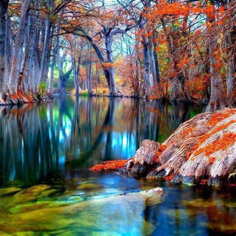 Beautiful Pond Full Image