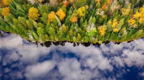 Aerial View Of Fall Forest With Reflection Of Blue Cloudy Sky On River