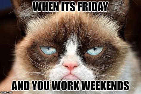 Its Friday Meme Cat Annes Blogg Thank God Its Friday Gentle