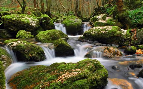 Nature Stream Of Clear Water Flowing Between Rocks Moss