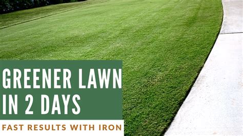 How To Make Your Lawn Greener Youtube