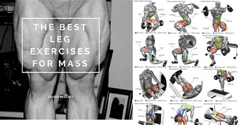 Maybe you would like to learn more about one of these? 4 Weeks To Bigger Legs And Daily Multiple Exercise Plan