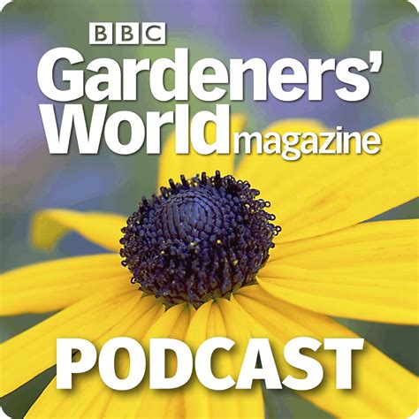 How To Create A Balcony Garden With Jason Williams Bbc Gardeners