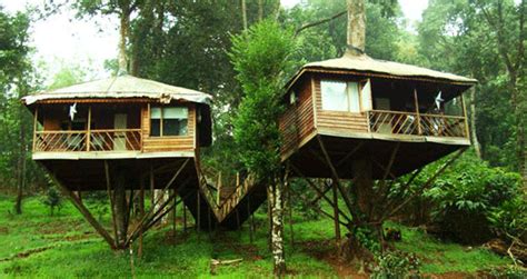 Kerala Tour With Tree House Stay Kerala Tree Houses Tour Packages