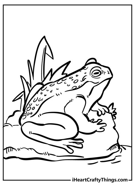 Frog And Toad Coloring Page Fun And Creative Printable Activity