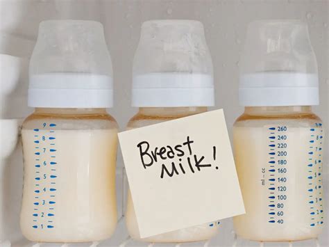 The 5 Best Website For Selling Breast Milk On The Internet Surveyclarity