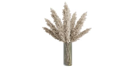 Dry Plant Png Png Image Collection
