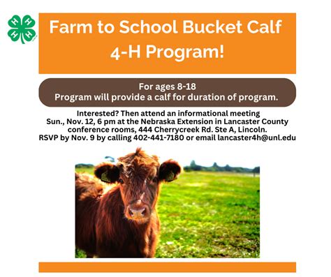 Join The Farm To School Bucket Calf 4 H Program Informational Meeting