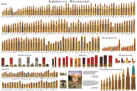 American Standard Bullet Comparison Guide Chart Print Poster Ebay