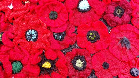 Close Up Of Some The 250 000 Poppies To Commemorate Anzac Day 2015 Anzac Day Poppies