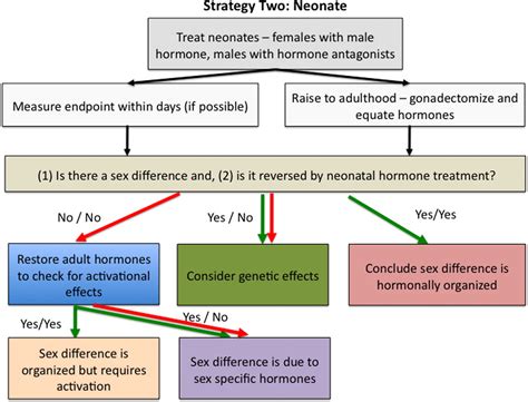 Sex Differences In The Brain The Not So Inconvenient Truth Journal