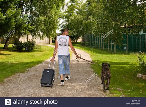 Dog And Cat Boarding High Resolution Stock Photography and Images - Alamy