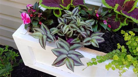 Anyone have an idea how to make a shade (that would open and close) for a skylight. Gorgeous Shade DIY Window Box - YouTube