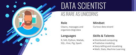 Infographics The Different Data Science Roles In The Industry