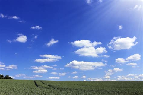 Landscape Of The Sunny Summer Day Free Image Download