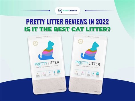 Pretty Litter Reviews 2022 Is It The Best Cat Litter Whichchoose