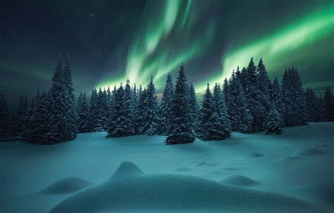 Wallpaper Winter Forest Snow Northern Lights Ate The Snow Images