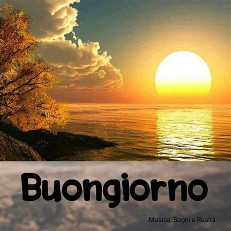 Home attualità buongiorno con l'edicola rvs dell'1 agosto 2019. 4411 best Buongiorno images on Pinterest | Good morning ...