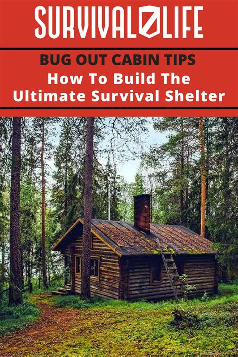 Check spelling or type a new query. Bug Out Cabin Tips | How to Build the Ultimate Survival ...
