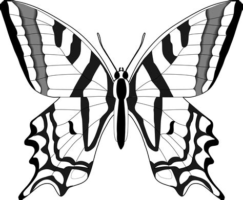 Black Butterfly Clip Art Clipart Best