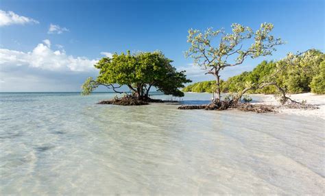 15 Best Things To Do In Islamorada Fl The Crazy Tourist 2023