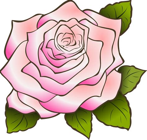 Pink Rose Drawing ~ Beautiful Free Rose Clipart Dekorisori