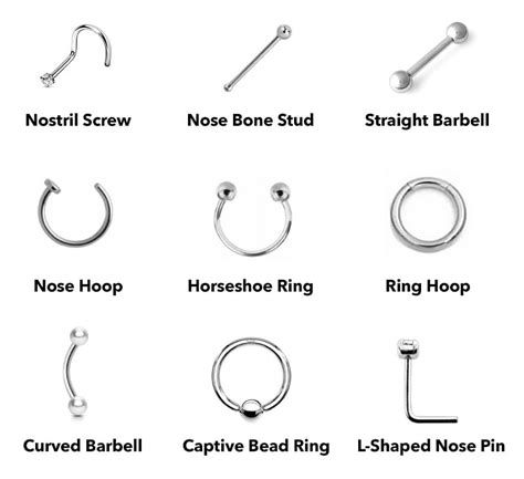 Nose Piercing 101 Ultimate Nose Piercing Guide The Trend Spotter