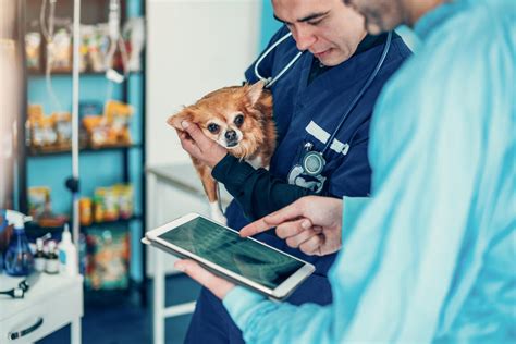 Understanding Veterinary Malpractice Litigation Mahan Law