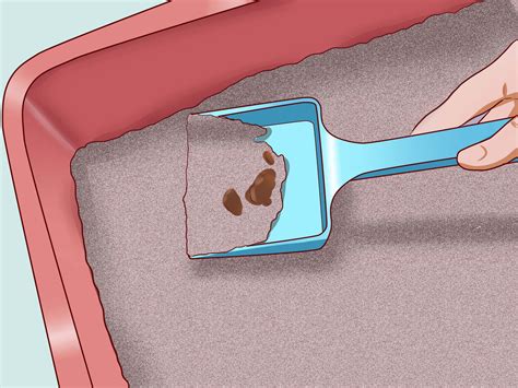 Maybe you would like to learn more about one of these? 3 Ways to Cure a Cat of Constipation - wikiHow