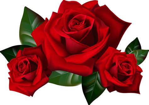 Download Transparent Background Red Roses Png Clipart 5192814