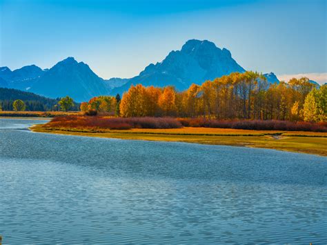 Grand Tetons National Park Oxbow Bend Autumn Colors Fall Foliage Red