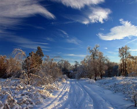 Download Wallpaper 1280x1024 Winter Snow Road Traces Bushes Trees