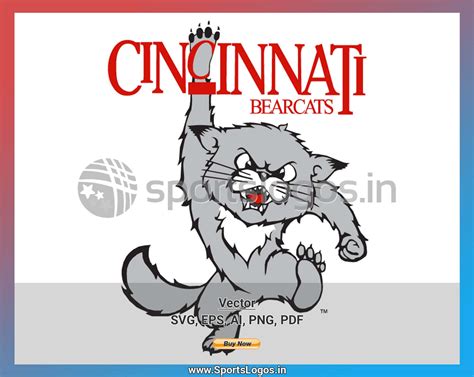 Cincinnati Bearcats 1990 2005 Ncaa Division I A C College Sports
