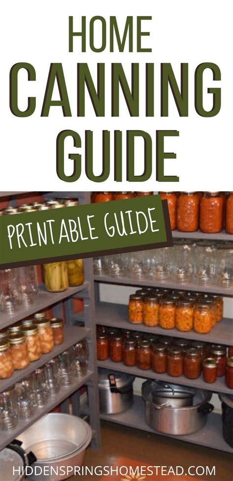 Free Printable Guide To Home Canning Basics Canning Recipes Home