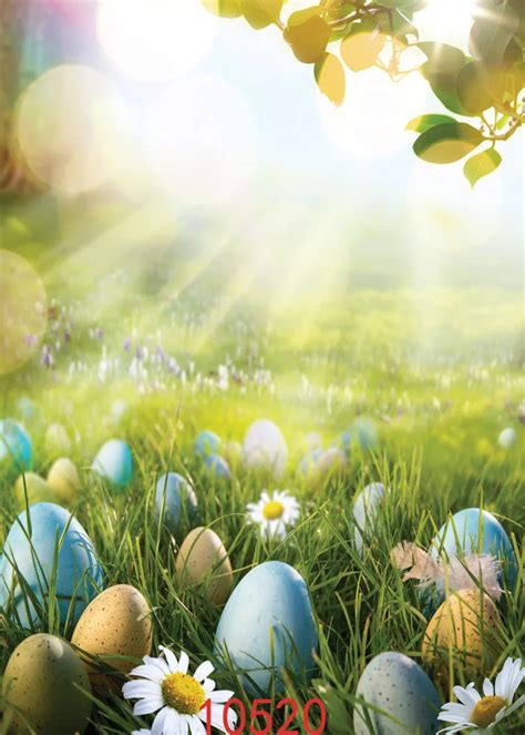 Easter Eggs Photography Background 150x210cm Natural Image Background